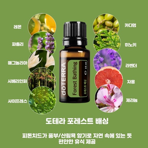 아로마포레스트 이미지