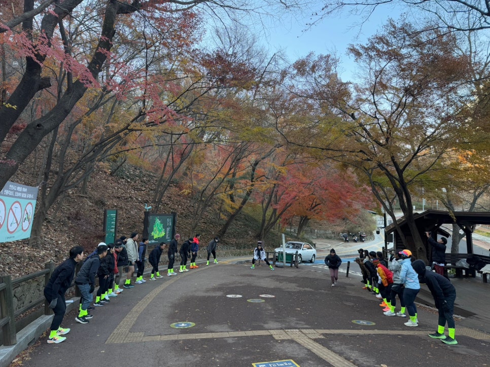 더컴포트안 이미지