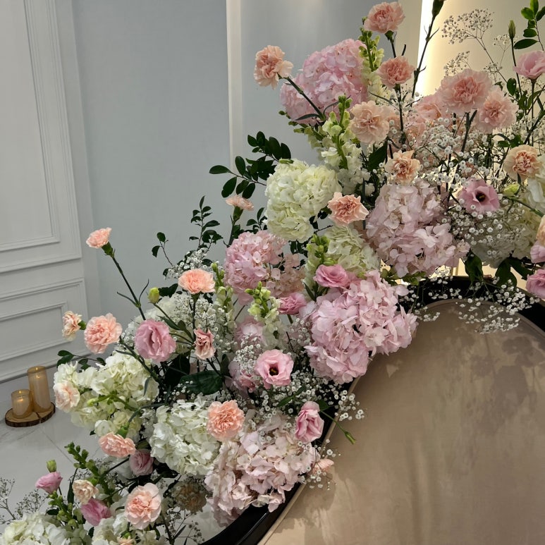 아띠다소니 이미지