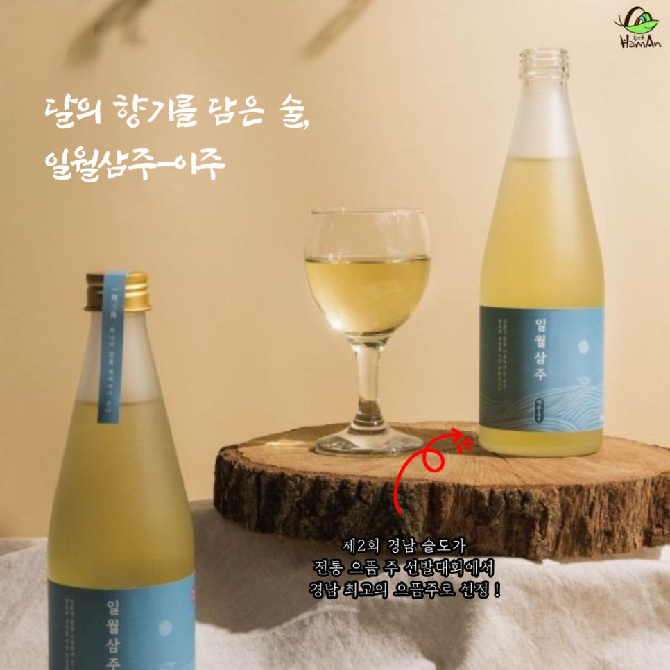 노바블룸디자인 이미지