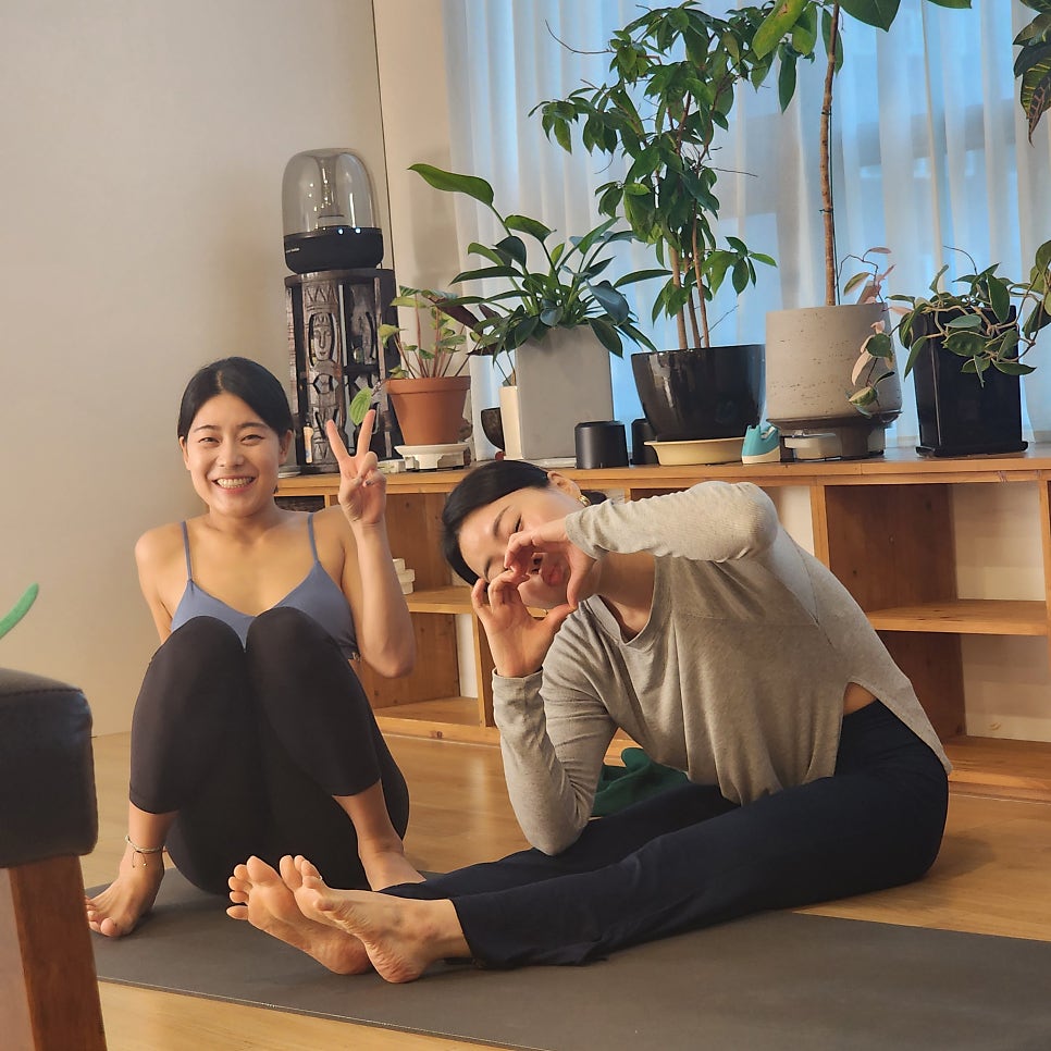 써니요가 이미지