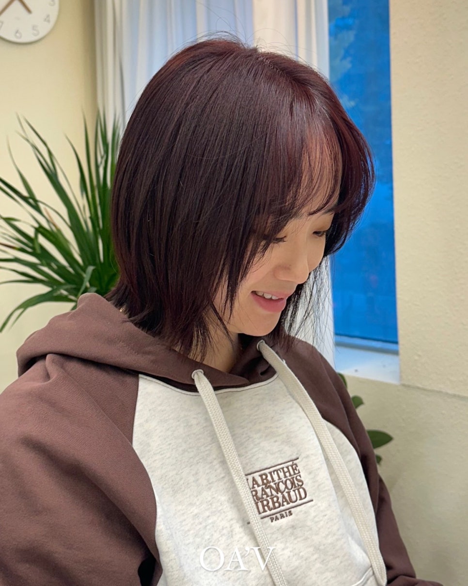 아브헤어 이미지