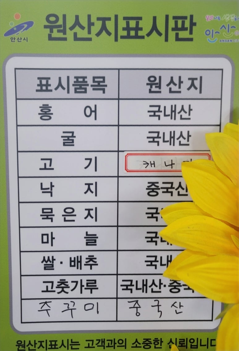 굴바다 이미지