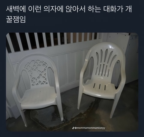 이바이브 이미지