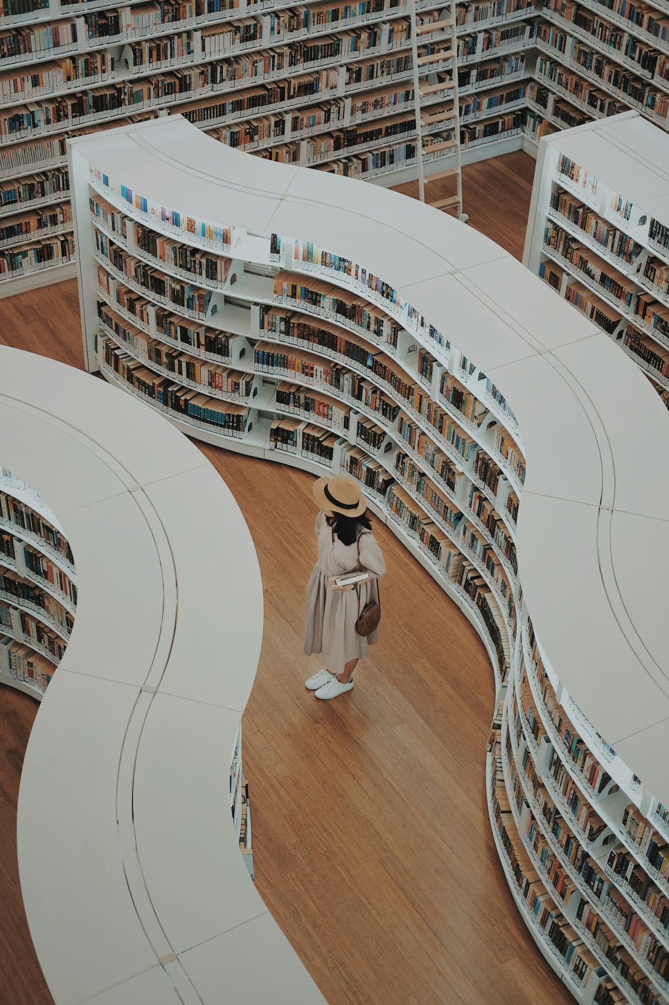파출박사 이미지