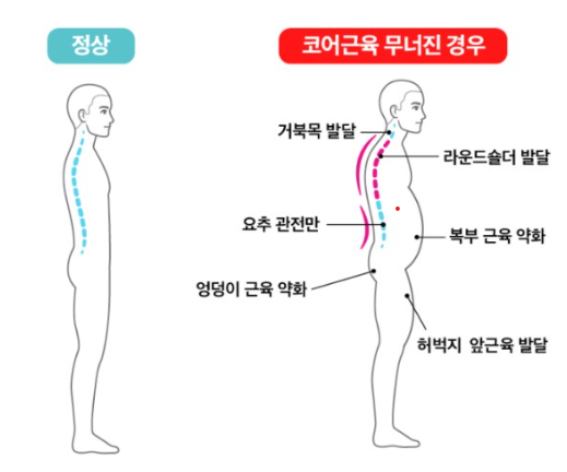 마린코어 이미지