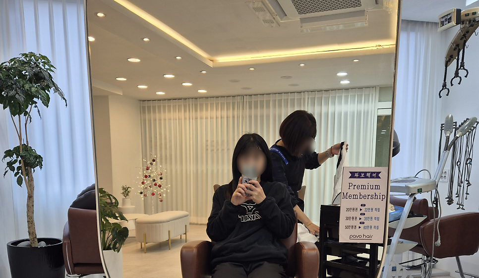 파보헤어 이미지