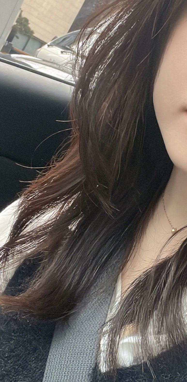 봄베리헤어 이미지