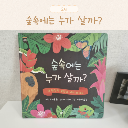 숲속에는 이미지