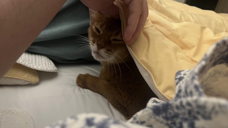 정훈이불 이미지