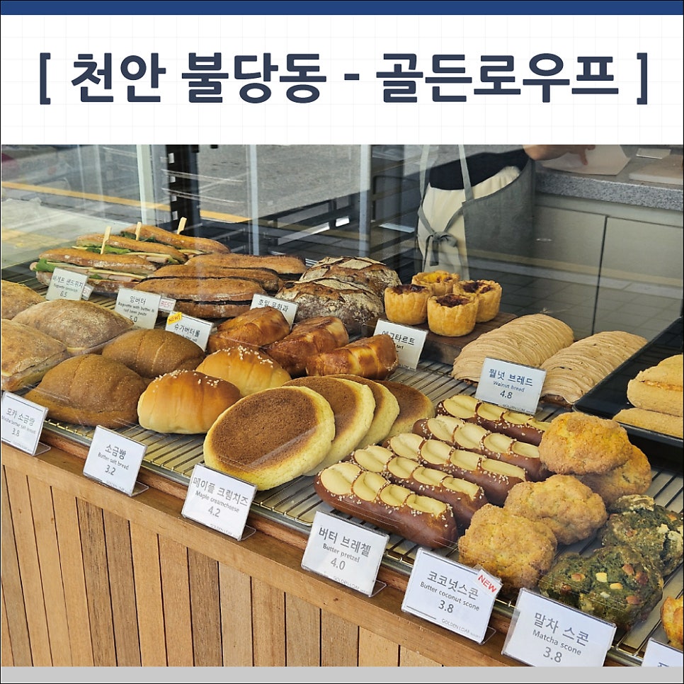 골든로우프 이미지
