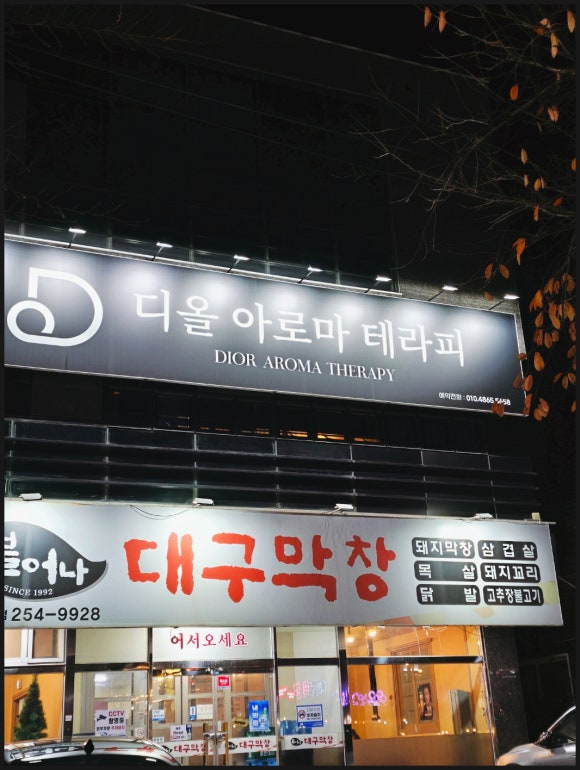 디올테라피 이미지