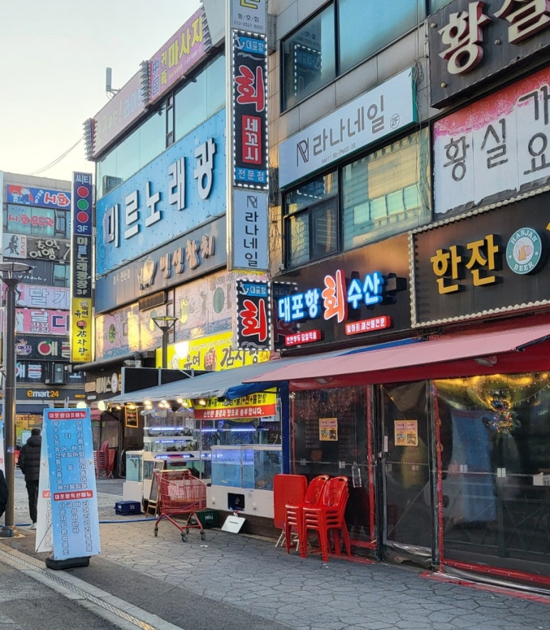 대포항회세꼬시 이미지