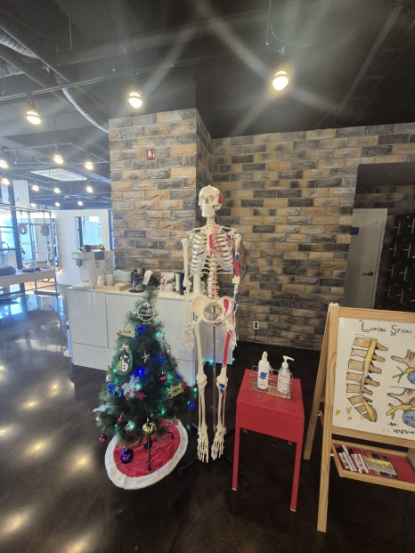 대한필라테스지도자연맹 이미지