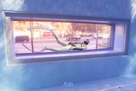 세종프리다이빙 이미지