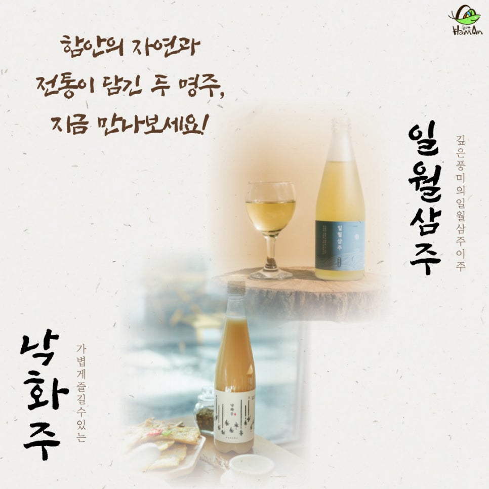노바블룸디자인 이미지