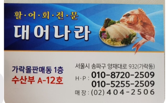 대어나라 이미지