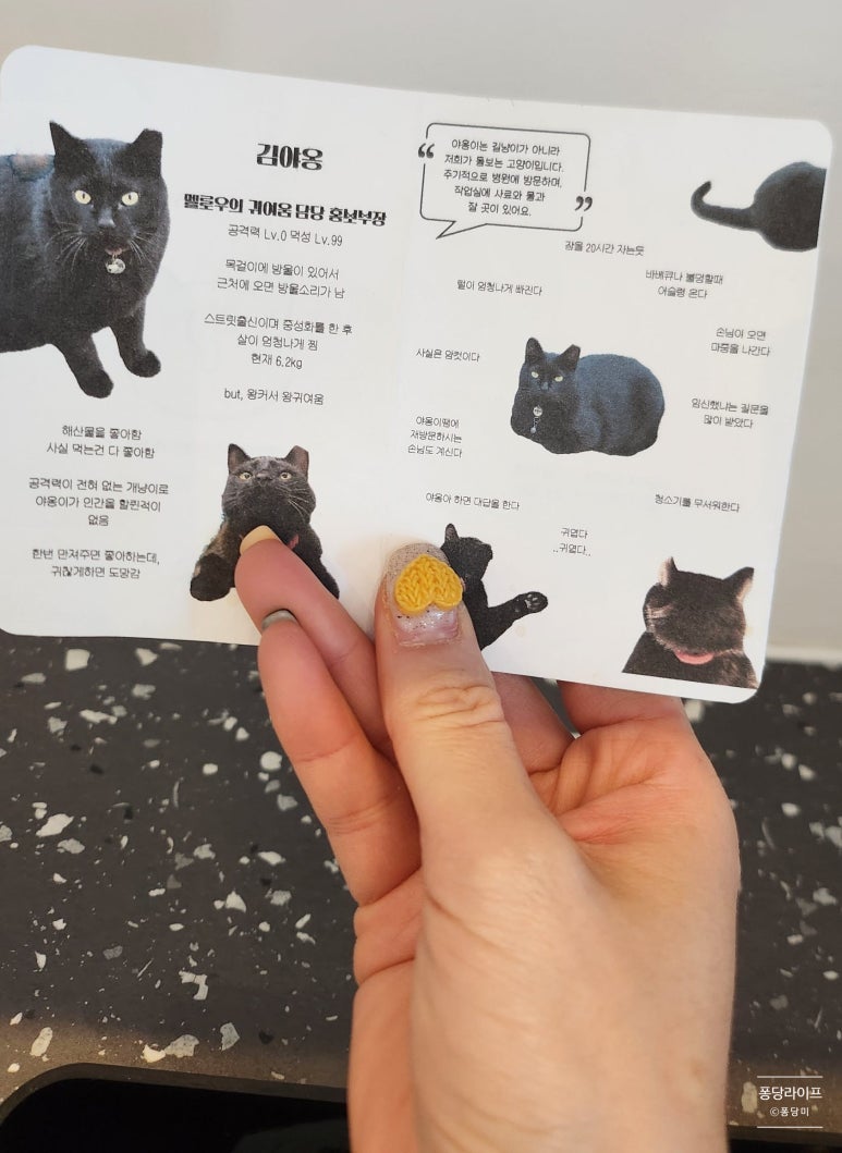 멜로우멘션 이미지