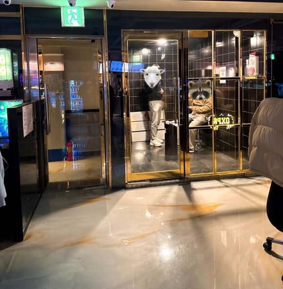 오엑스피시 이미지
