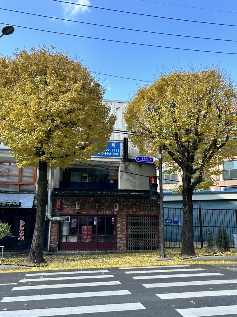 올라브리또 이미지