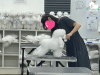 부산 강아지미용학원: 직장인 위한 저녁/주말반 운영 — 사진 10