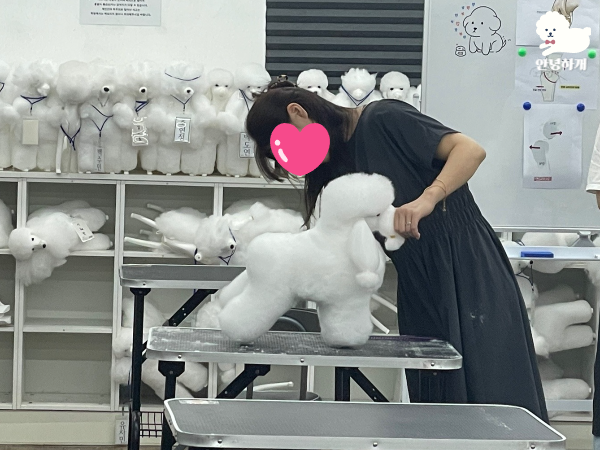 부산 강아지미용학원: 직장인 위한 저녁/주말반 운영 — 사진 10