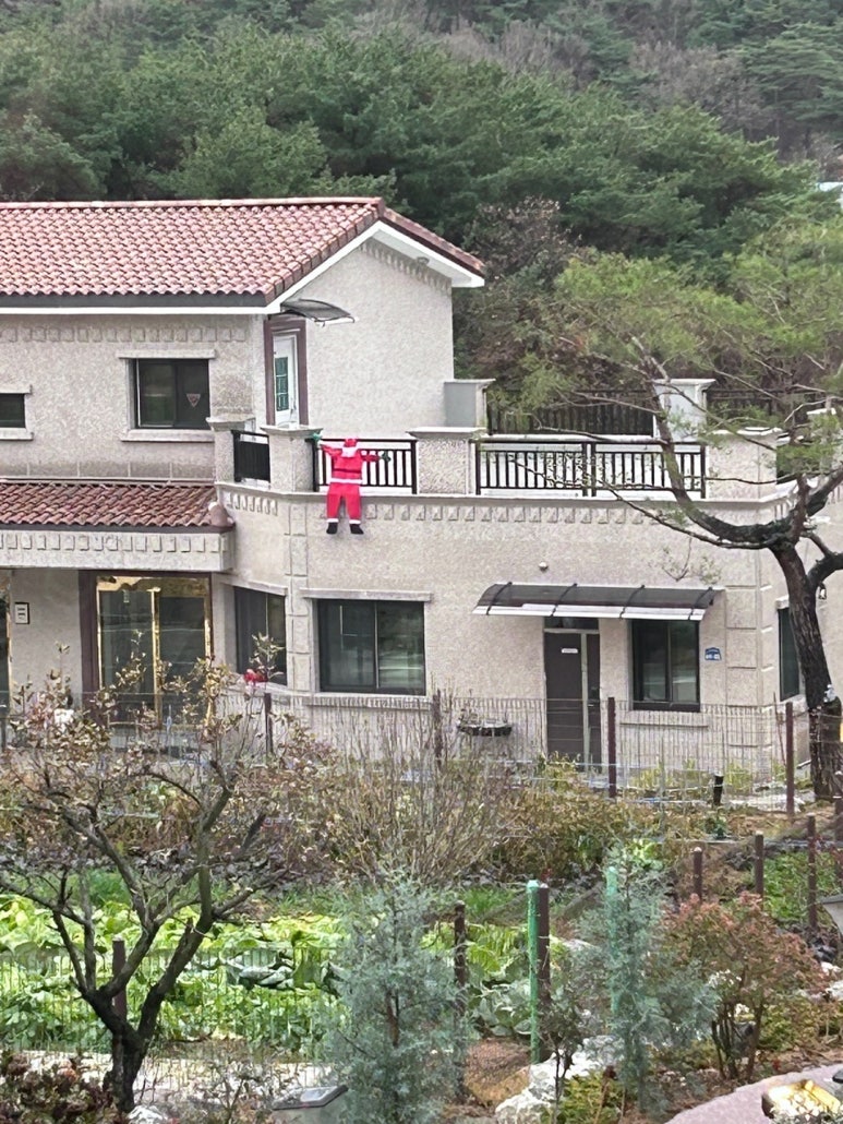 숲카페 이미지