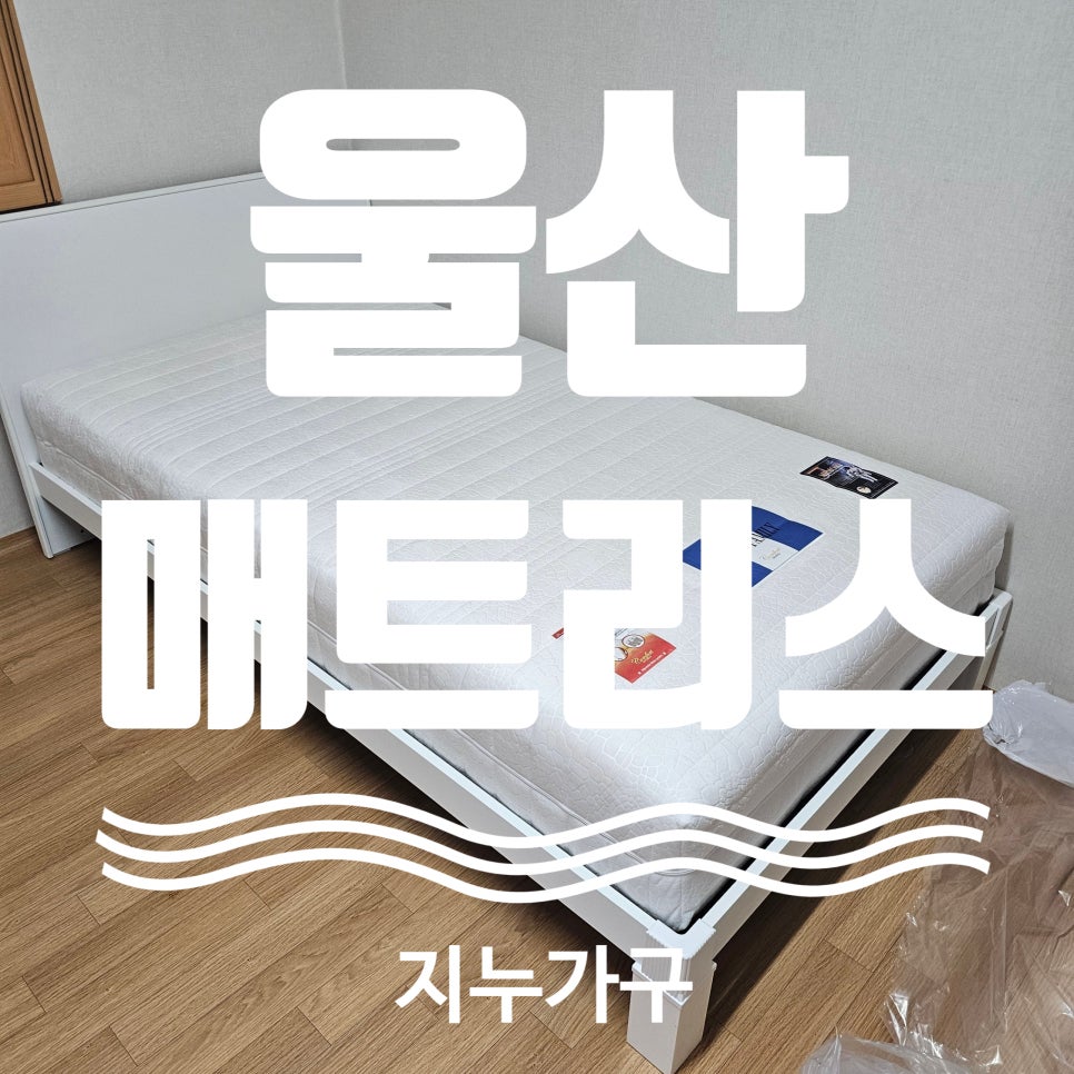 지누디자인 이미지