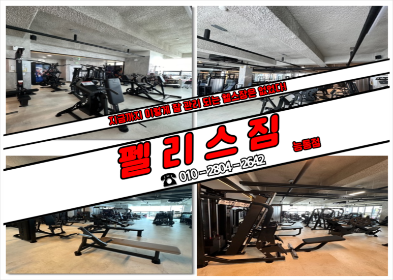 펠리스짐 이미지