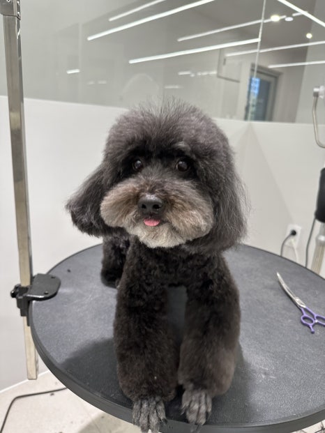 위드스테이부산 이미지