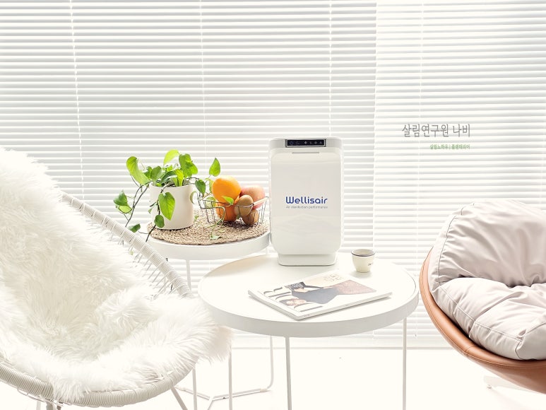 웰리스에어 이미지