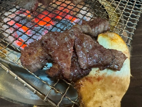 한우향가 이미지