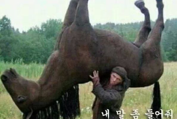 선상활어회 이미지
