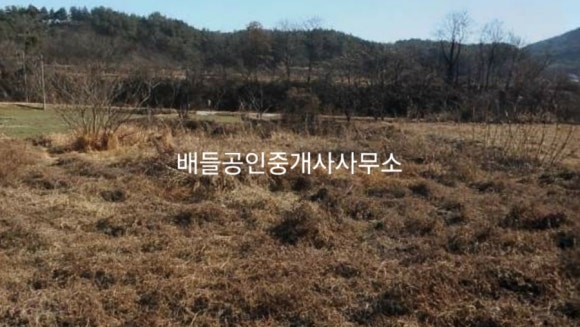 관산읍사무소 이미지
