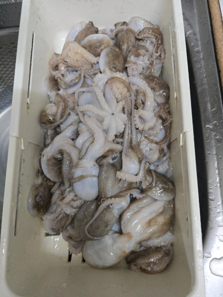 오리탕전문 쭈꾸미 이미지