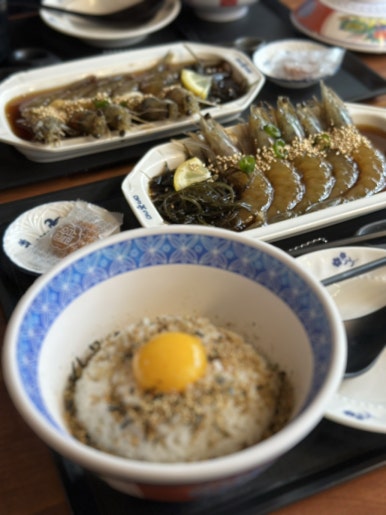 소루 이미지