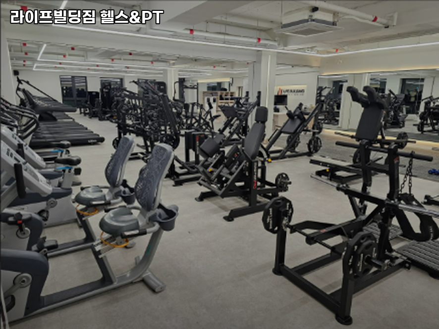 라이프빌딩PT 이미지