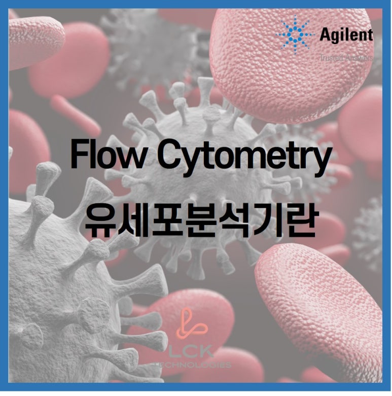 (주)엘씨케이 이미지