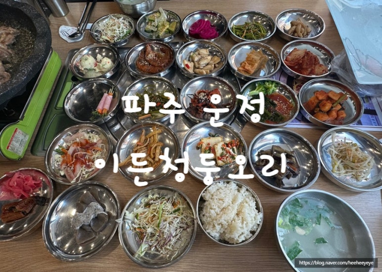 이든청둥오리 이미지