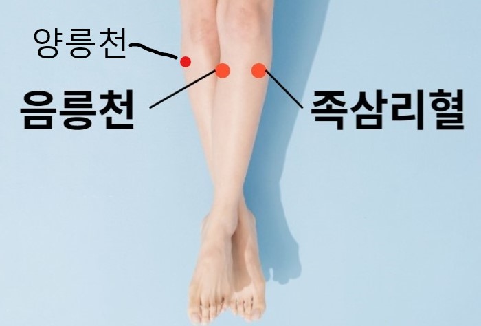 족삼리 이미지