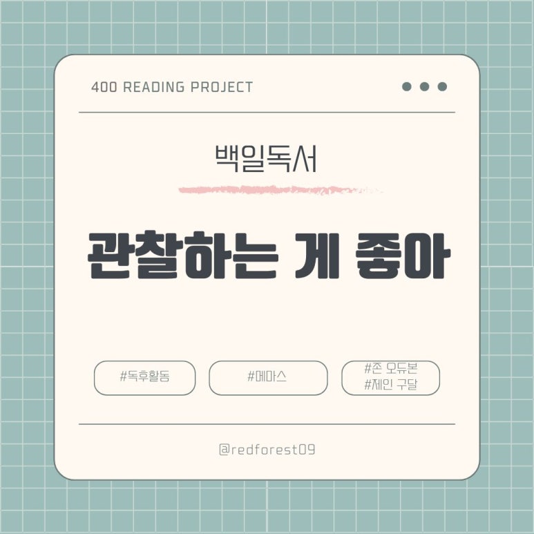 마이스토리 이미지