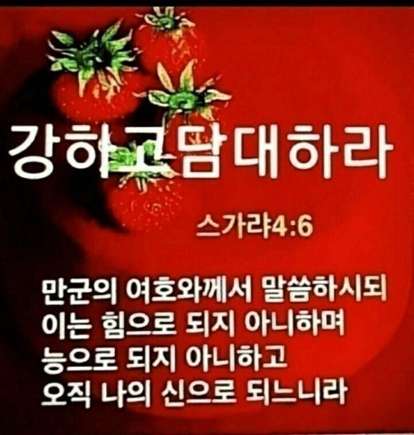 청담이북인절미 이미지