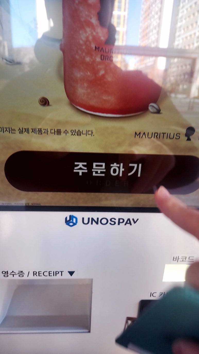 모리셔스브라운영종점 이미지