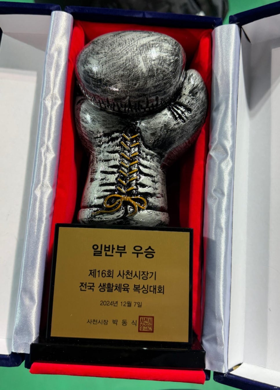 더파워복싱 이미지