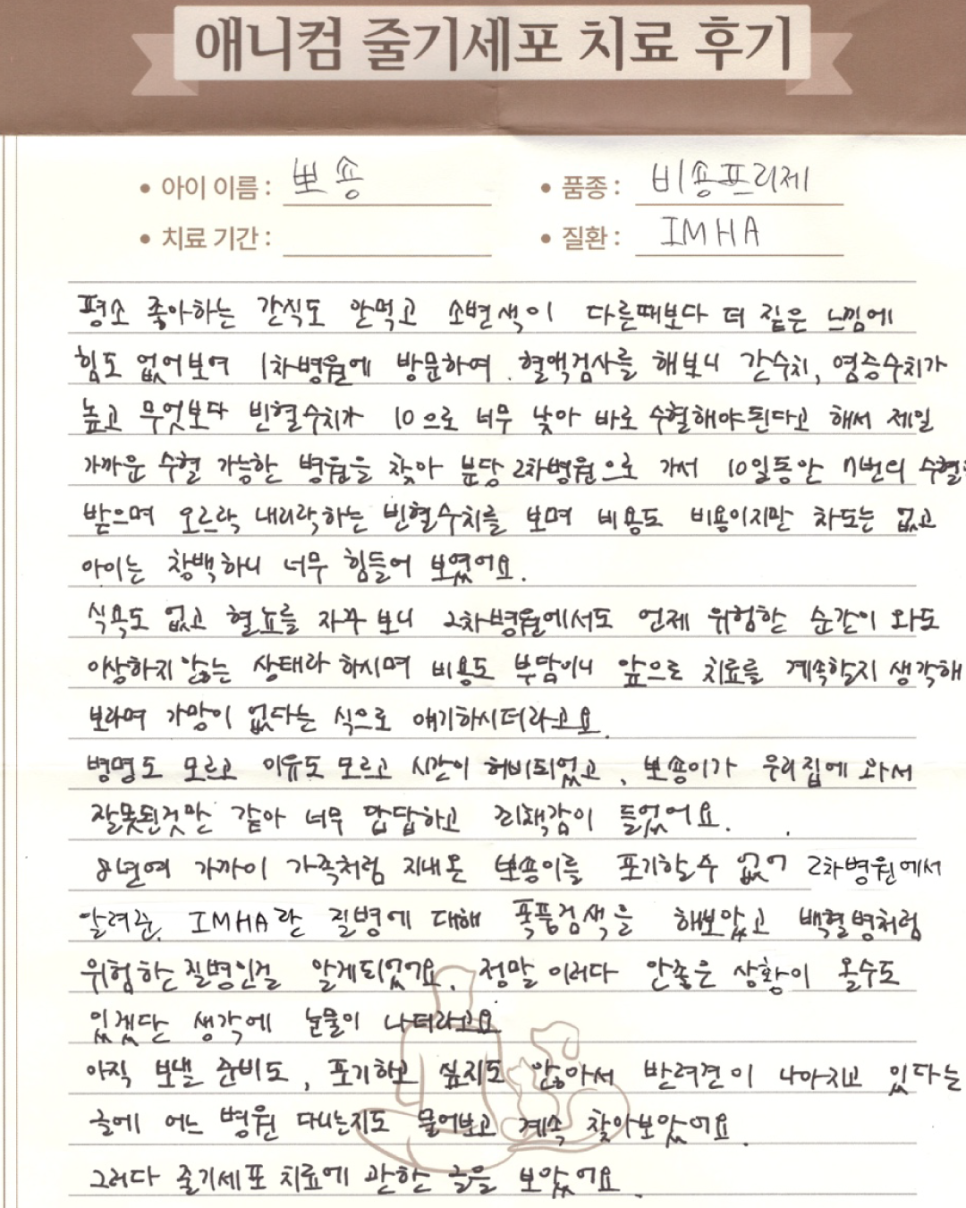 애니컴 이미지