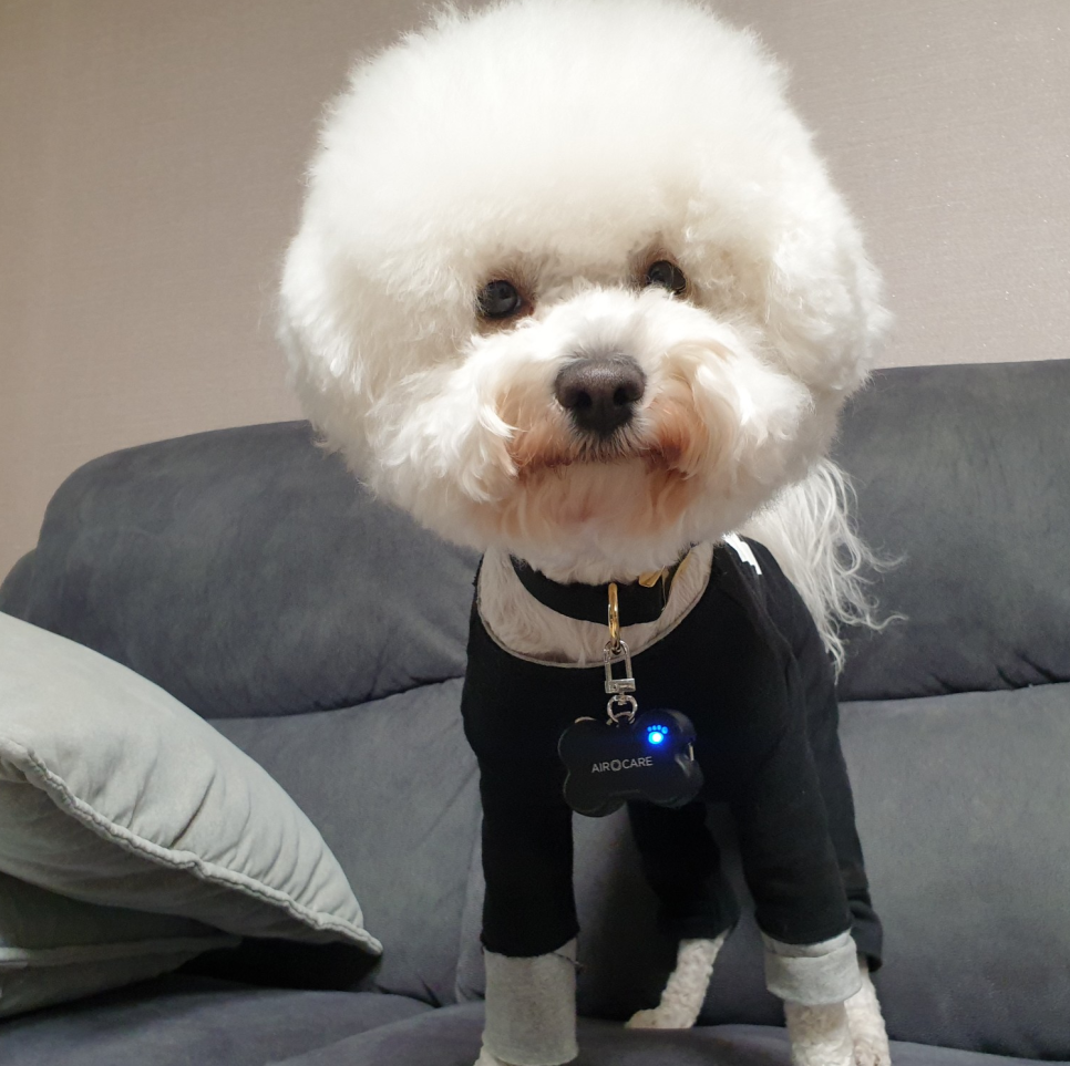 부띠끄진주 이미지