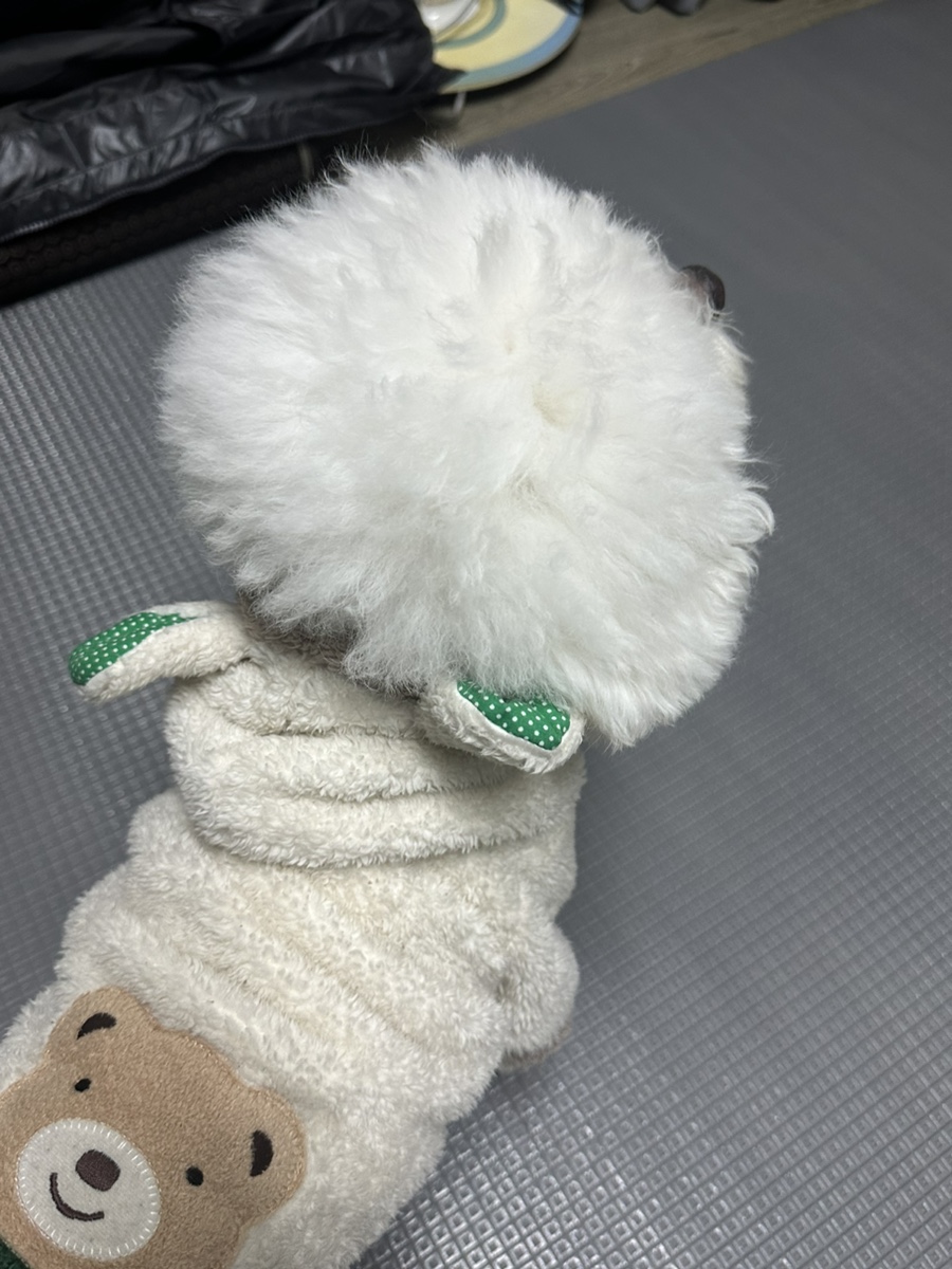 쥬디인가든 이미지