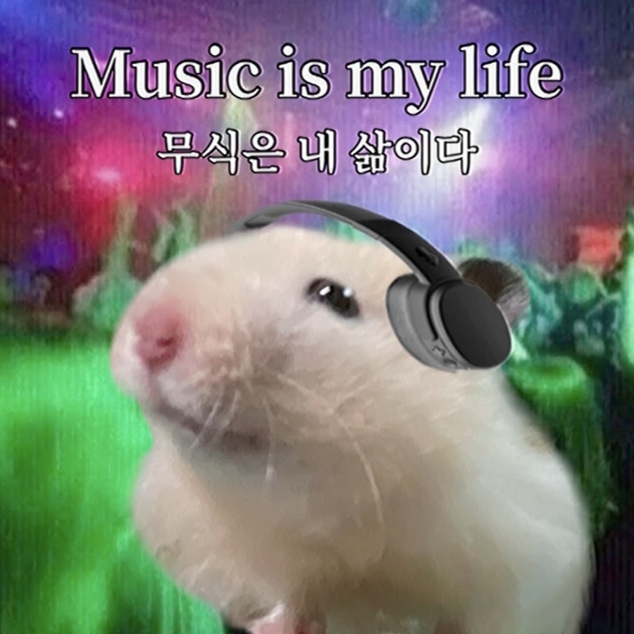 모지 이미지