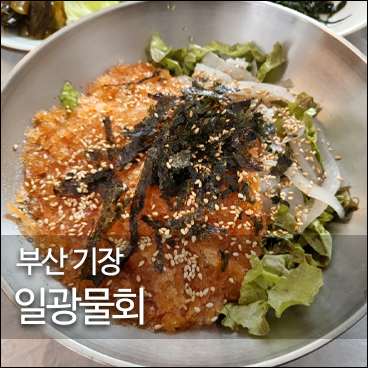 일광물회 이미지