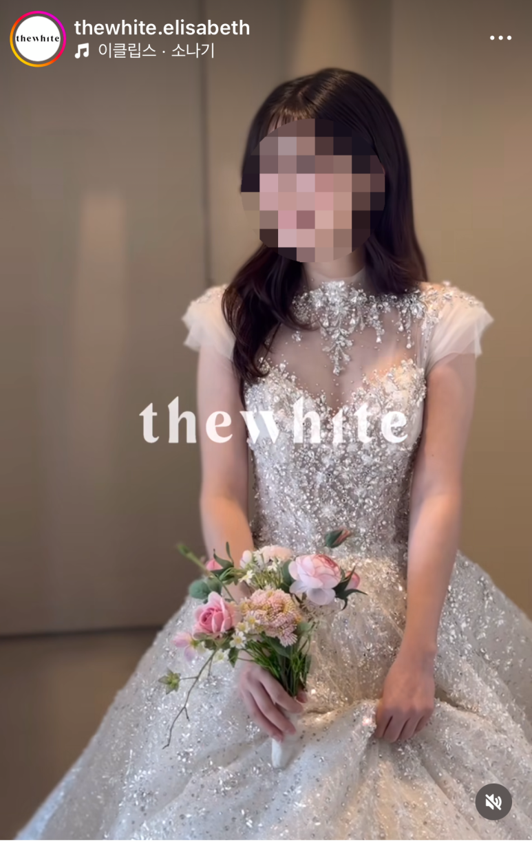 오프더데이지 이미지